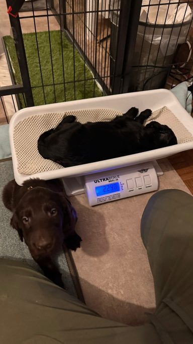 Konträrer kann man in dem Moment nicht sein.