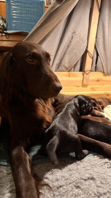 Wurfkisten-Impression