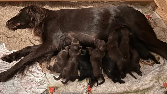 Tag 4 in der Wurfkiste